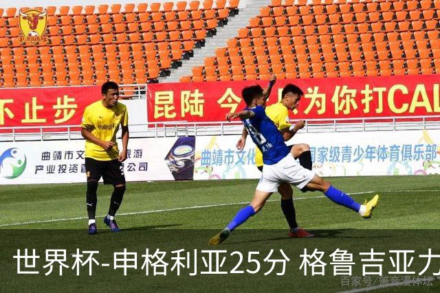 世界杯-申格利亚25分 格鲁吉亚力克委内瑞拉