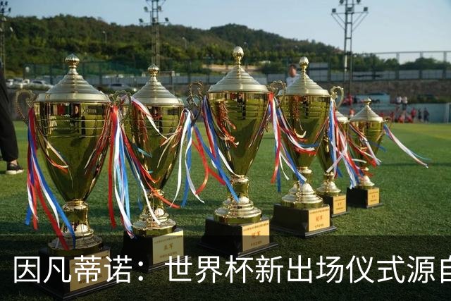 因凡蒂诺：世界杯新出场仪式源自于皮耶罗的建议，全队一起唱国歌