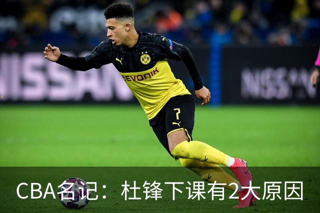 CBA名记：杜锋下课有2大原因